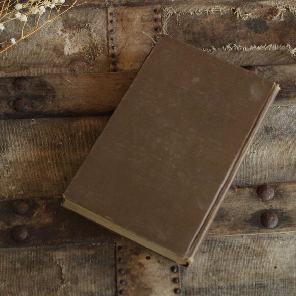 Vintage 1910s Book, "The Young Forester" by Zane Grey, Grosset and Dunlap Editio - Picture 4 of 10